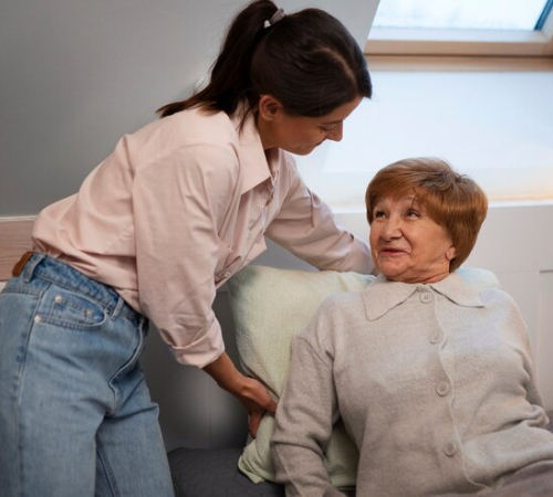 domestic-assistance-img01