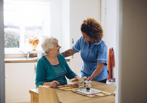 domestic-assistance-img03
